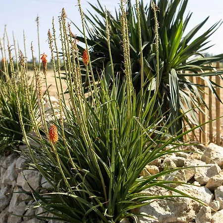 En Pleine Campagne Proche De La * Saint-Vincent-sur-Jard