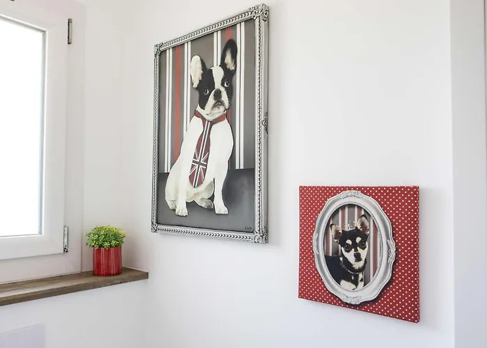 En Pleine Campagne Proche De La Vila